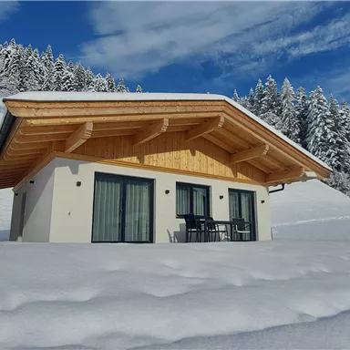 A modern house in the snow with a picturesque wooden roof. The surroundings are filled with snow-covered trees and a clear blue sky.