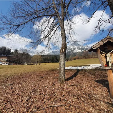 Eine ruhige, ländliche Landschaft mit einem alten Vogelhaus und kahlen Bäumen. Im Hintergrund sind schneebedeckte Berge und Wiesen zu sehen.