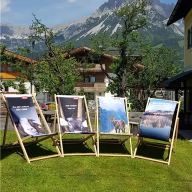 Vier Liegestühle stehen auf einer grünen Wiese und zeigen verschiedene Poster im Vordergrund. Im Hintergrund sind Berge und ein blauer Himmel sichtbar.