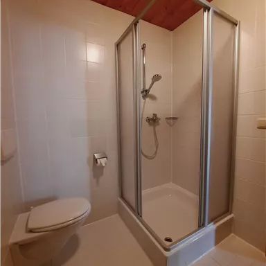 Ein modernes Badezimmer mit einer Duschkabine und einer Toilette. Die Wände sind hell gefliest und die Decke aus Holz.