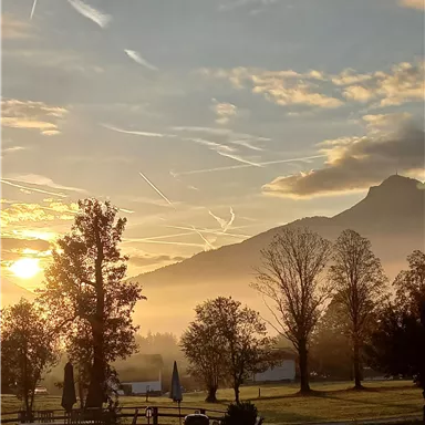 Ein schöner Sonnenaufgang über einem hügeligen Landschaft mit Bäumen. Der Himmel ist klar, und es gibt sanfte Wolkenzüge.