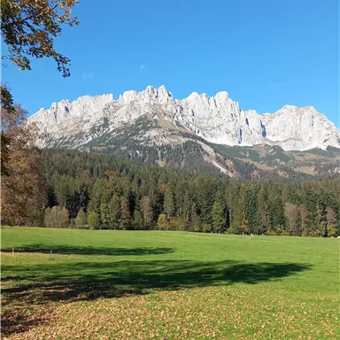 Eine beeindruckende Berglandschaft mit hohen, felsigen Gipfeln. Im Vordergrund erstreckt sich eine grüne Wiese unter einem klaren blauen Himmel.