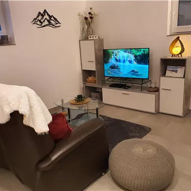 Ein gemütliches Wohnzimmer mit einem bequemen Sessel und einem Fernseher, der eine Wasserfallansicht zeigt. Die Ausstattung ist modern und stilvoll, mit einem kleinen Tisch und Pflanzen dekoriert.