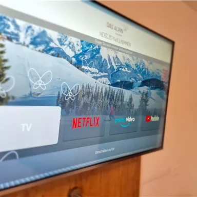 A television displays a user interface with options for Netflix, Video, and YouTube. In the background, snow-covered mountains and forests can be seen.
