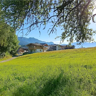 A meadow with fresh, green grass and trees in the foreground. In the background, mountains and a small village can be seen.