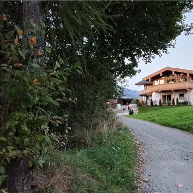A scenic path leads to a traditional building in nature. On the left side, there is a wooden sculpture.