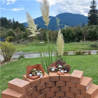 Eine dekorative Steinmauer mit Pampasgras und fröhlicher Deko im Vordergrund. Im Hintergrund sind grüne Hügel und ein blauer Himmel zu sehen.