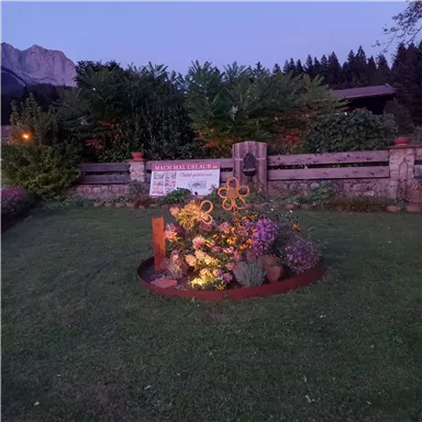 Ein schöner Garten mit bunten Blumen und einer beleuchteten Dekoration. Im Hintergrund sind Bäume und ein Holzzaun zu sehen.
