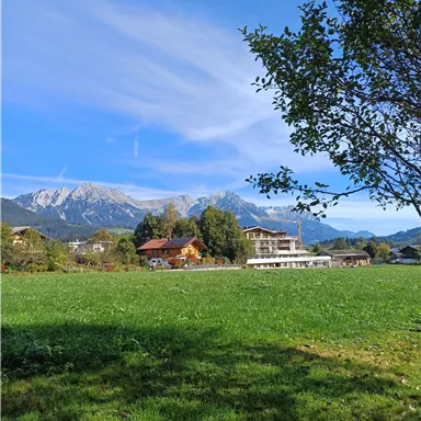 Eine grüne Wiese mit Blick auf ein malerisches Dorf und die umliegenden Berge. Der Himmel ist blau und klar.