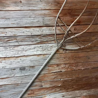 Eine alte Heugabel liegt auf einem Holzboden. Die Holzdielen sind in verschiedenen Farbtönen gehalten.