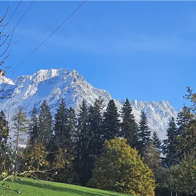 An impressive mountain landscape with snow-capped peaks and a clear blue sky. In the foreground, there are trees and autumnal vegetation.
