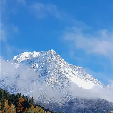 Ein beeindruckender Berg mit schneebedecktem Gipfel und klar blauem Himmel. Im Vordergrund sind grüne Wiesen und bunte Bäume zu sehen.