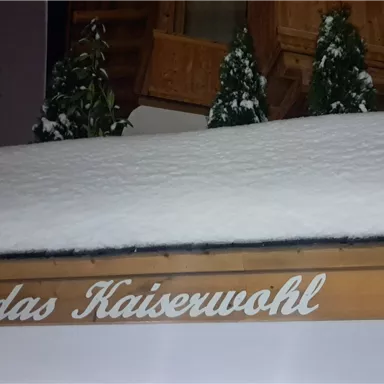 A wooden sign with the inscription "the Emperor's Welfare" is visible. A thick layer of snow rests on top of the sign.