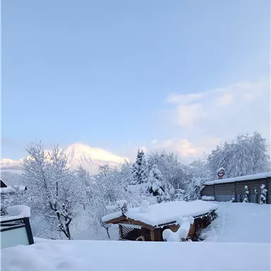 Eine verschneite Winterlandschaft mit schneecovered Bäumen und einem klaren blauen Himmel. Im Vordergrund ist eine kleine Hütte sichtbar.