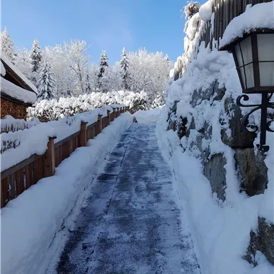 A snow-covered path leads through an idyllic winter landscape. Fresh snow is everywhere and the sky is shining blue.