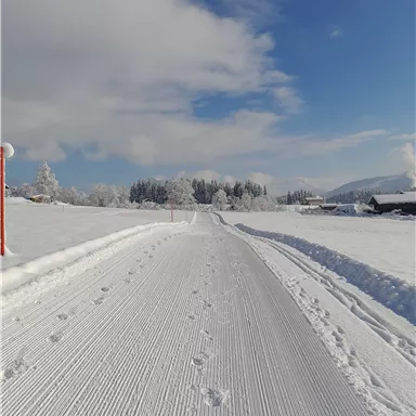 A snow-covered street with fresh footprints and a clear blue sky. The surroundings are peaceful and wintry.