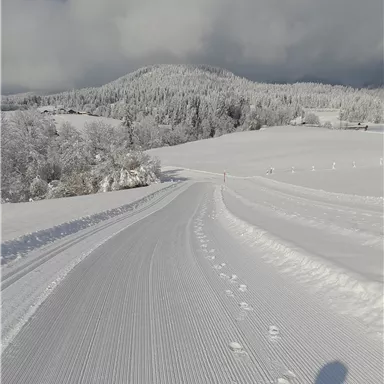 A snowy road leads through a quiet winter landscape. Tall, snow-covered trees and a cloudy sky are visible in the background.