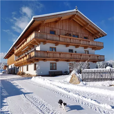 A cozy wooden house with several balconies in a snow-covered landscape. In front of the house, a black and white dog is walking on the snow-covered path.
