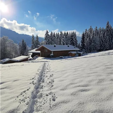Ein verschneites Landschaft mit einem Holzhaus im Vordergrund. Hohe, mit Schnee bedeckte Tannenbäume umgeben die Szene unter einem klaren blauen Himmel.