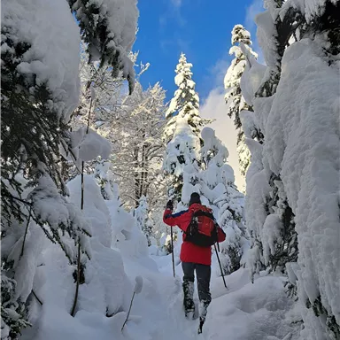 Ein Wanderer mit roter Jacke geht durch einen schneebedeckten Wald. Die Bäume sind mit Schnee bedeckt und der Himmel ist blau.