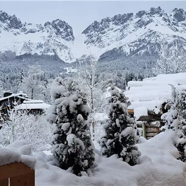 A wintry landscape with snow-covered mountains in the background. In the foreground, there are snow-covered trees and a wooden fence.