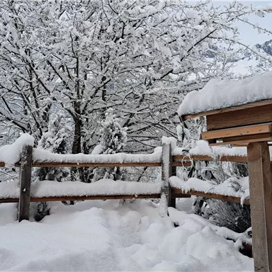 A snowy landscape with a tree and a birdhouse. The fence is also covered with snow, and the mountains are visible in the background.