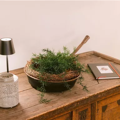 Ein rustikaler Holztisch mit einer Pflanzenarrangierung in einer Schüssel. Neben der Schüssel stehen eine kleine Lampe und ein Notizbuch.