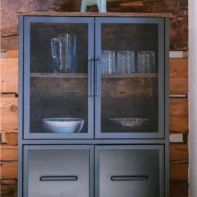 Ein moderner Schrank aus Metall mit Glastüren, der auf einer Holzwand steht. Auf dem Schrank befindet sich eine kleine grüne Dekorfigur in Form eines Hundes.