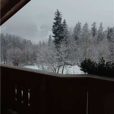 Eine verschneite Landschaft mit hohen Tannenbäumen und einem grauen Himmel. Im Vordergrund ist ein Holzbalkon zu sehen.