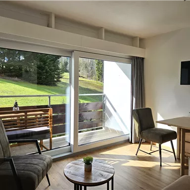 A bright living room with two chairs, a table, and a large window. Outside, a green meadow with a wooden railing is visible.