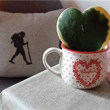 Eine Tasse mit einem herzförmigen Pflanzenblatt steht auf einem Tisch. Im Hintergrund ist ein Kissen mit einer Wanderfigur zu sehen.