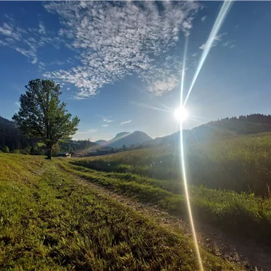 A picturesque landscape with a path leading through a meadow. The sun shines brightly over the mountains, radiating a warm light.