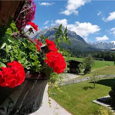 A flower box with red geraniums and a beautiful mountain landscape in the background. The sky is clear with some clouds and the surroundings are green and well-kept.