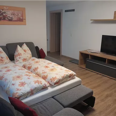 Ein gemütliches Wohnzimmer mit einem Schlafsofa und bunten Kissen. Ein Fernseher steht auf einem Holzregal gegenüber der Couch.