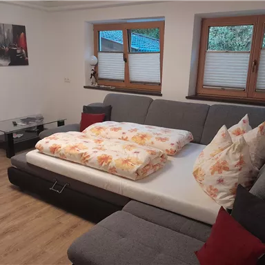 Ein gemütliches Wohnzimmer mit einem Schlafsofa und bunten Kissen. Große Fenster sorgen für viel Tageslicht.