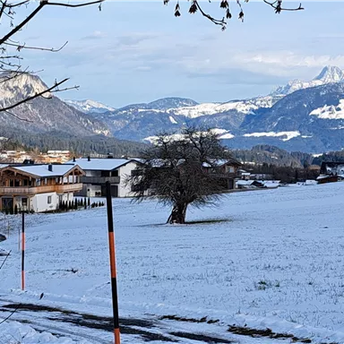A wintry landscape with snow-covered fields and mountains in the background. Nearby, some buildings and trees are visible.