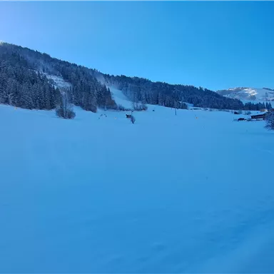 A winter landscape with snow-covered meadows and mountains in the background. Some wooden buildings are visible and the sky is clear and blue.
