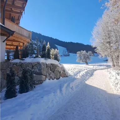 A picturesque winter landscape with snow-covered paths and a clear blue sky. In the background, stylish wooden houses and trees can be seen.