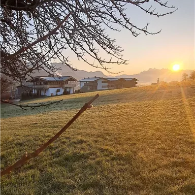 A beautiful sunrise over a meadow. In the background, some buildings can be seen.