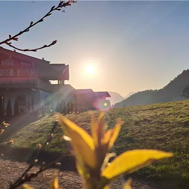 A cozy house stands in the foreground with the sun rising over the mountains. In the foreground, fresh leaves can be seen, making the picture vibrant.