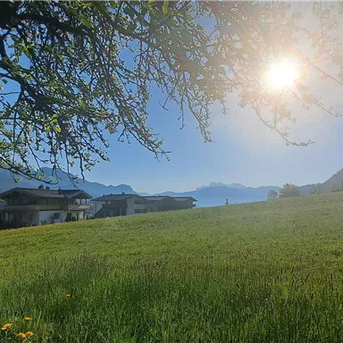 A wide meadow with colorful flowers and mountains in the background. The sun is shining brightly in the sky.