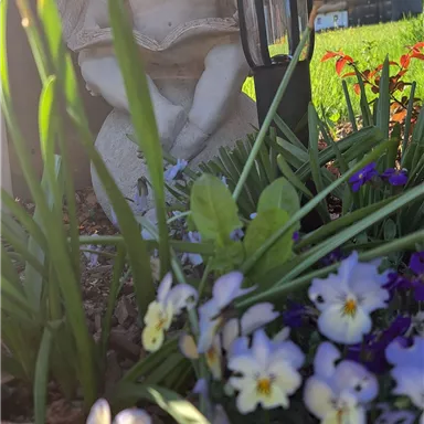 A statue of an angel sits in the garden among colorful flowers. In the background, there is a solar light and the sun is shining.