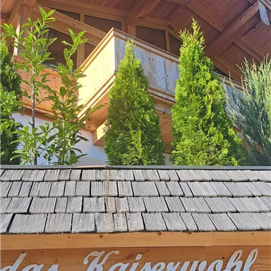 A cozy building with a balcony and greenery. The inscription "das Kaiserwohl" is clearly visible.