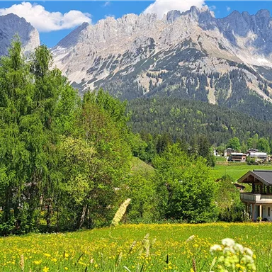 A picturesque landscape with green meadows and trees. In the background, impressive mountains rise beneath a clear blue sky.
