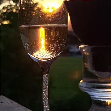 An elegant glass of sparkling wine reflects the sunset. In the background, soft shades of green can be seen.