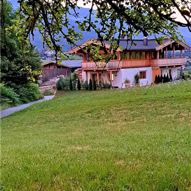 A charming house stands in a green meadow, surrounded by trees and mountains in the background. The scene feels calm and inviting.