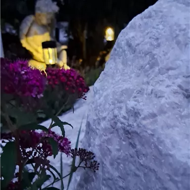 A quiet garden at dusk with colorful flowers and a white stone. In the background, a statue with a lantern can be seen.
