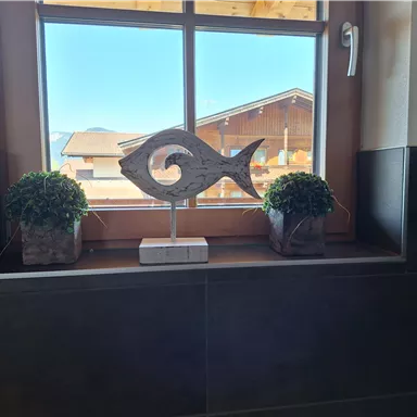 A window overlooking an alpine house and a decorative wooden fish. On the windowsill are two plants in pots.