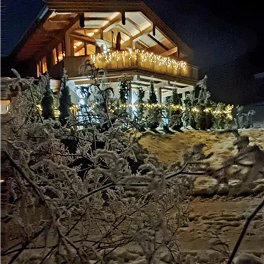 A beautiful, illuminated chalet at night, surrounded by snow. The festive atmosphere is accentuated by the decoration and the lights.