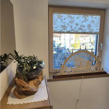A cozy room with a window through which sunlight shines. On a dresser, there is a plant and a small pot on the floor.